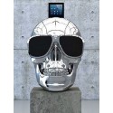 AeroSkull HD Plus Bluetooth Jarre Technologies Crome Silver-luidspreker